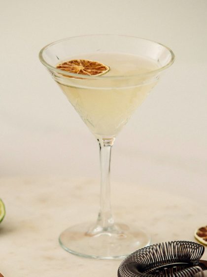 Kit Cactus Gimlet