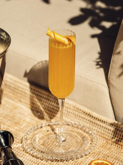 Kit Mimosa